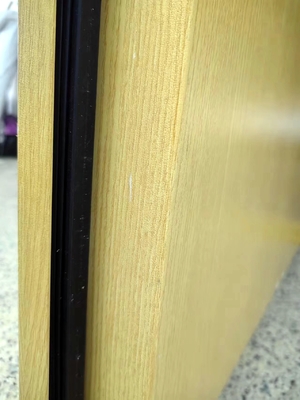 ध्वनि प्रतिरोधी दरवाजा H2425*W950*70 मिमी
