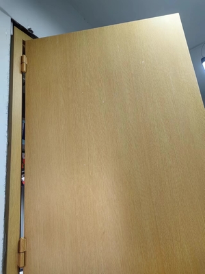 ध्वनि प्रतिरोधी दरवाजा H2425*W950*70 मिमी